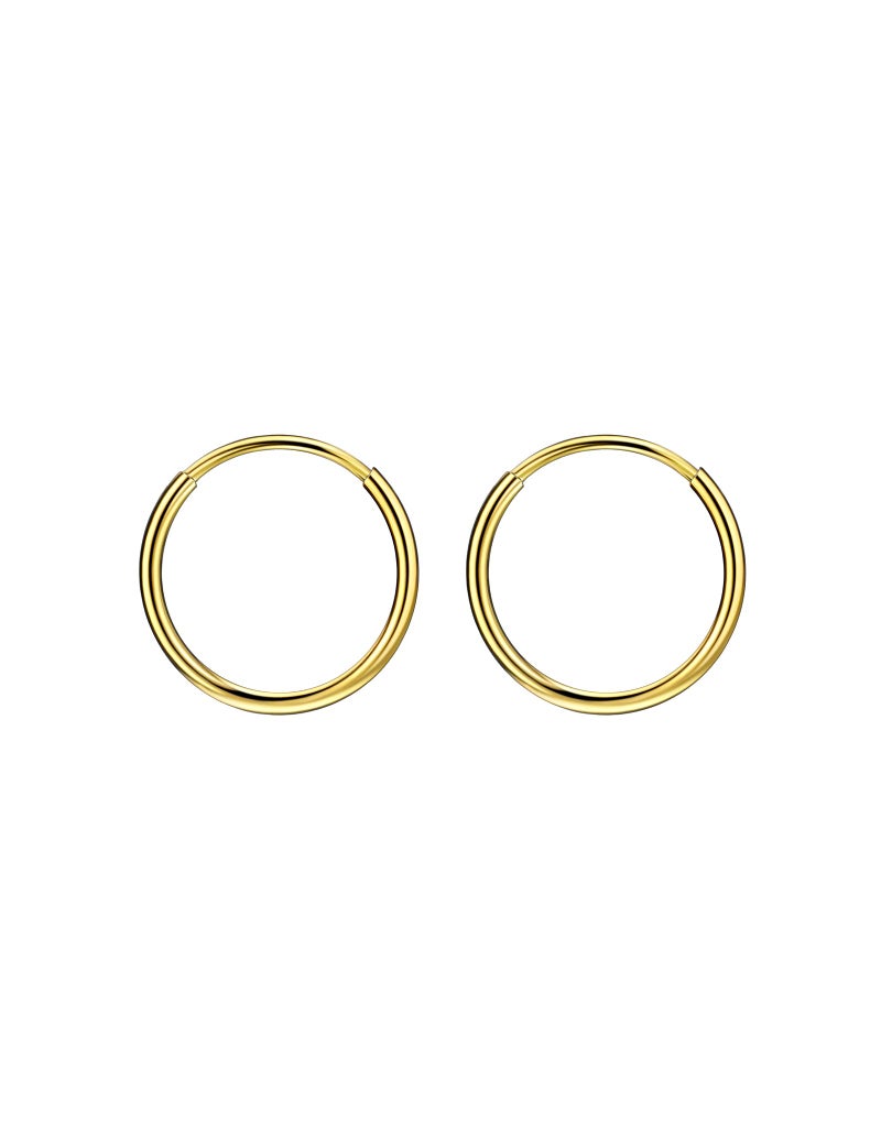 FANSING Earrings for Women Hoop Earrings Trendy Cartilage Earring Hoop Surgical Steel Earrings for Men 18k Gold-plated 10mm - Image 1